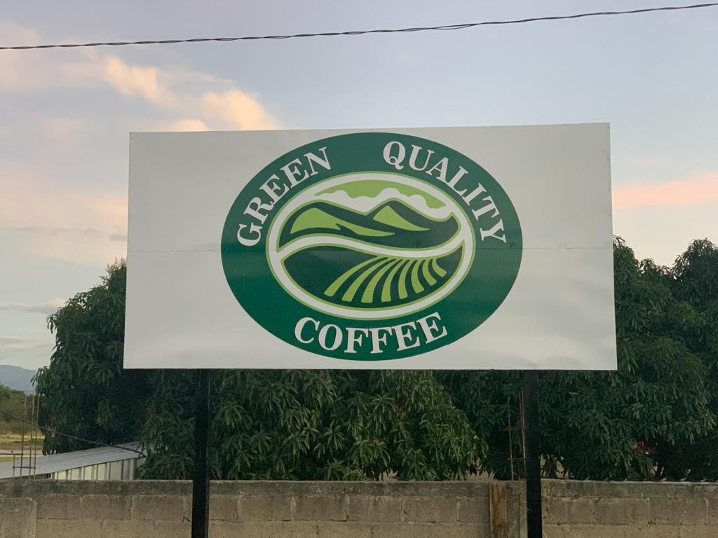 Grains de café vert - Arabica et Robusta from Brésil